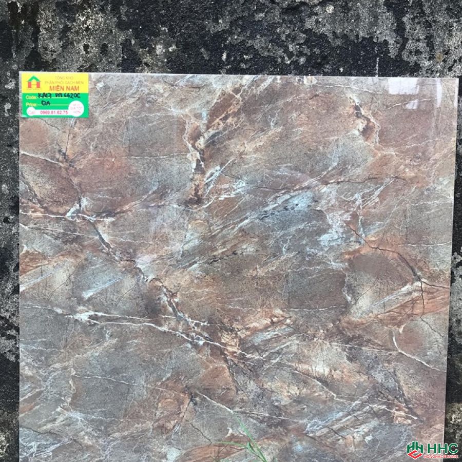 Gạch 60x60 TTC KA17PN66206